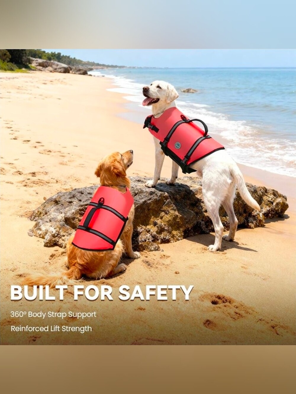 VIVAGLORY Dog Life Vest Rip Stop Dog Swim Vest, M, Bright PinkHigh Visibility